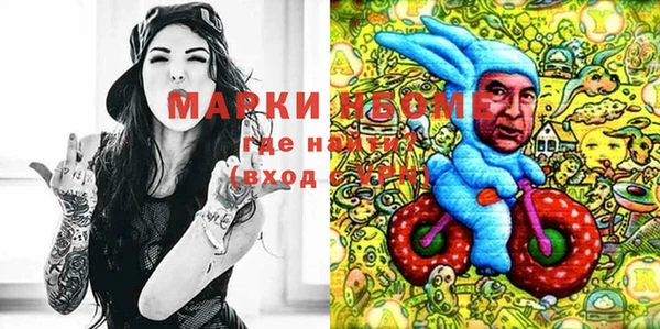 мет Алексин