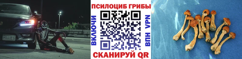 мориарти какой сайт  Белый  Галлюциногенные грибы Cubensis 